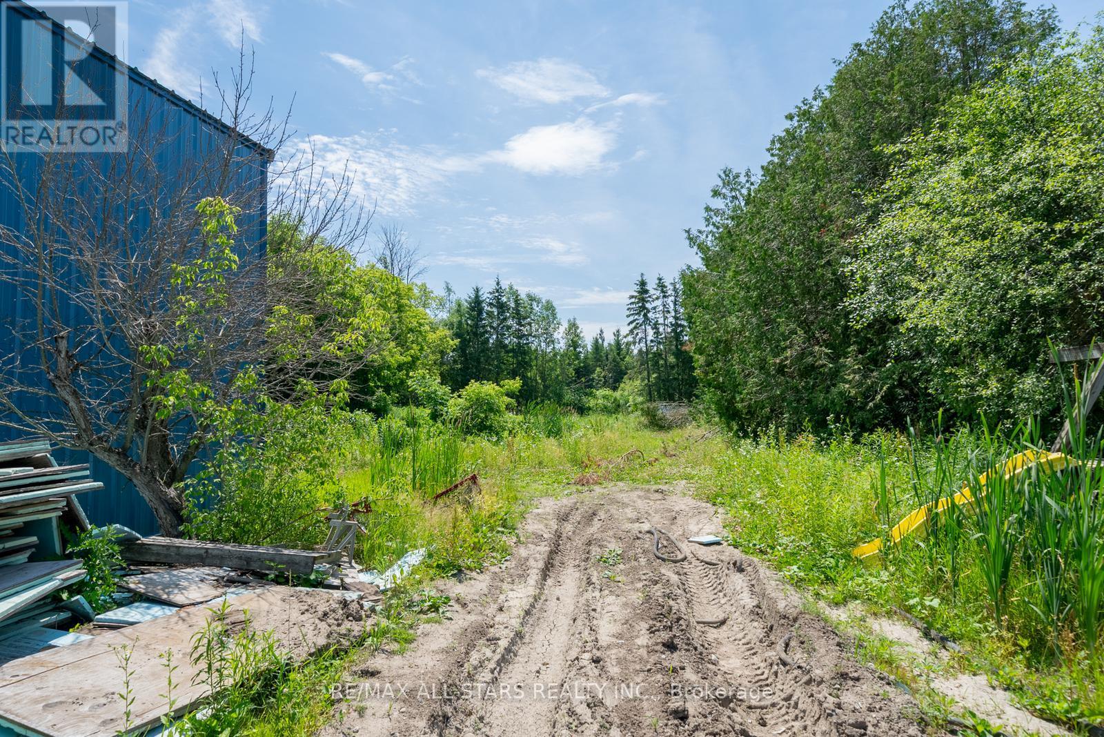 28099 Highway 48, Georgina, Ontario  L0E 1N0 - Photo 12 - N12252142