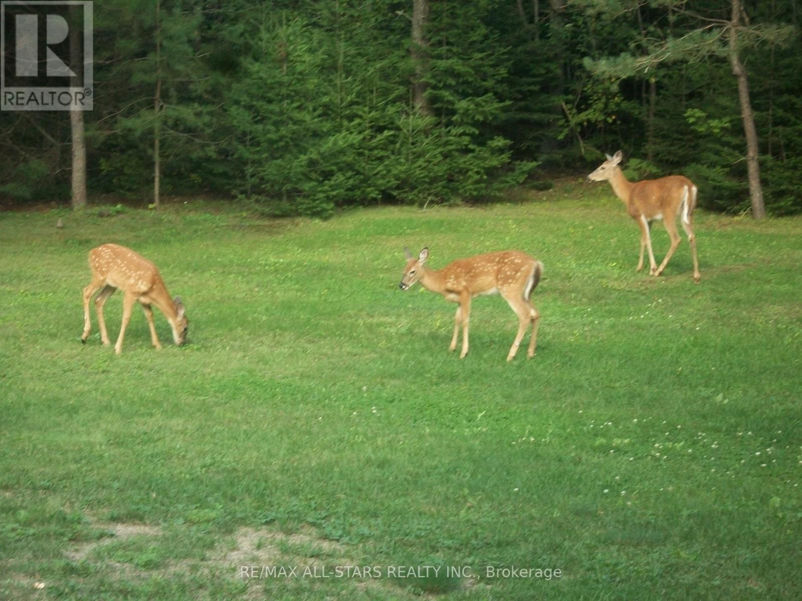 315 Somerville 11 Concession, Kawartha Lakes (Somerville), Ontario  K0M 1C0 - Photo 36 - X12402651
