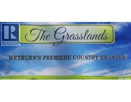 The Grasslands