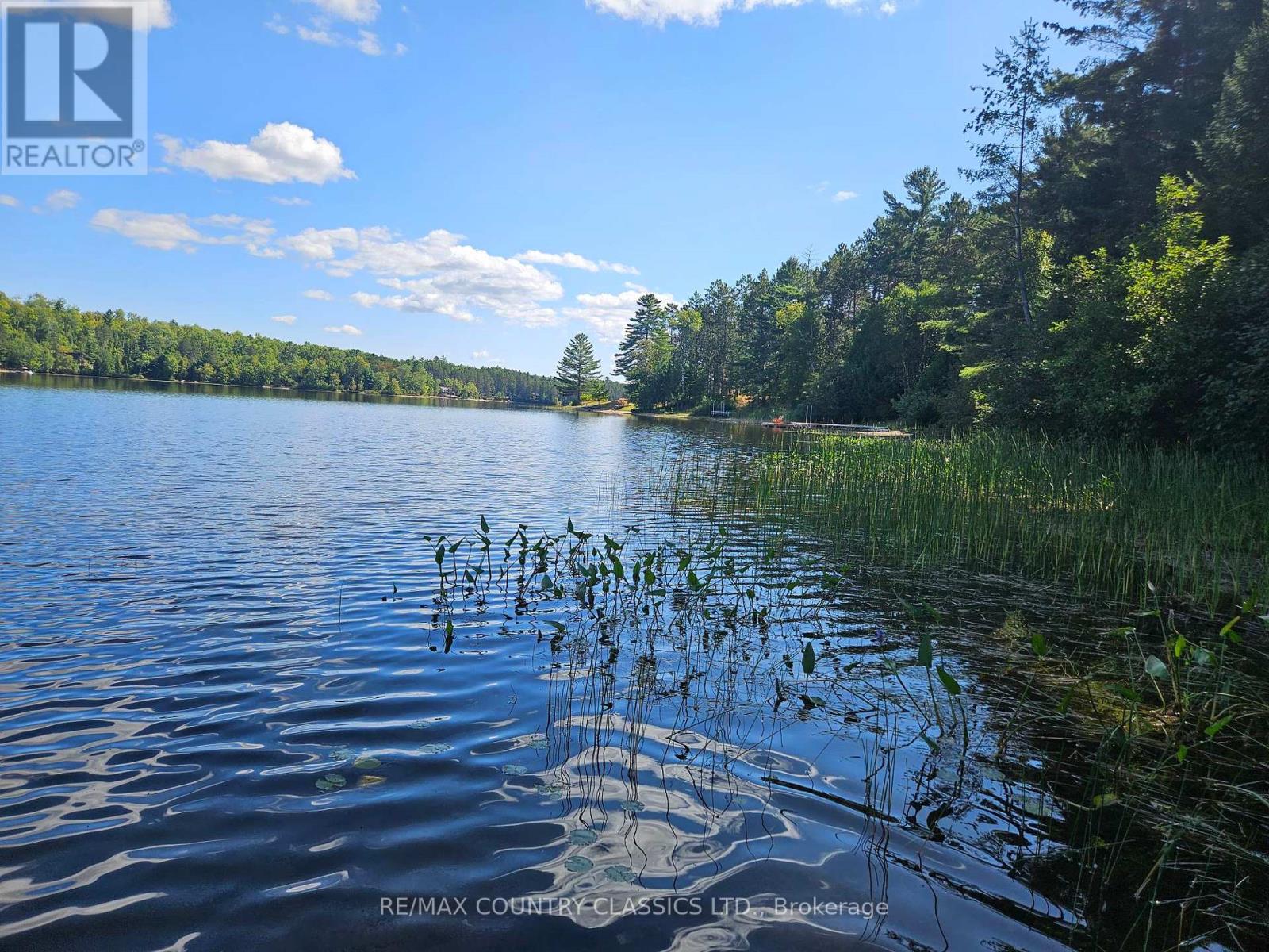 13 Lorbetski Road, Madawaska Valley, Ontario  K0J 1B0 - Photo 37 - X12055482