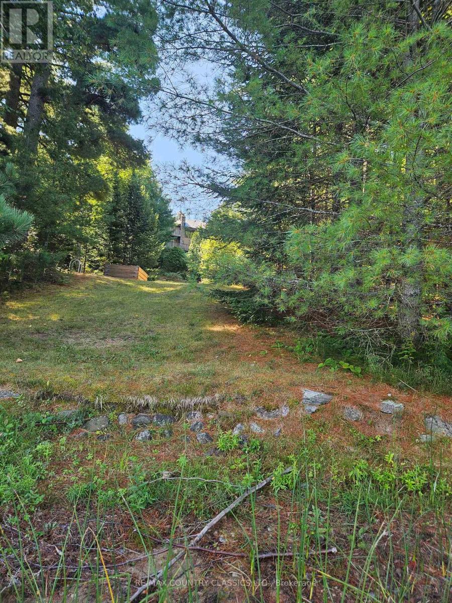 13 Lorbetski Road, Madawaska Valley, Ontario  K0J 1B0 - Photo 38 - X12055482
