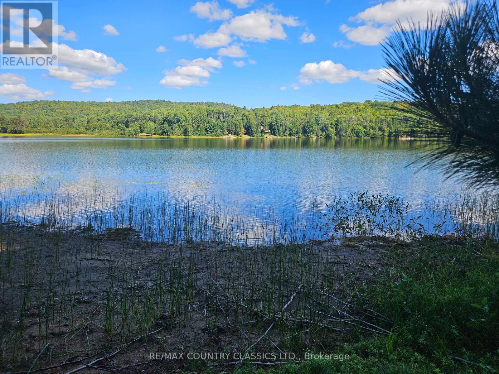 13 Lorbetski Road, Madawaska Valley, Ontario  K0J 1B0 - Photo 39 - X12055482