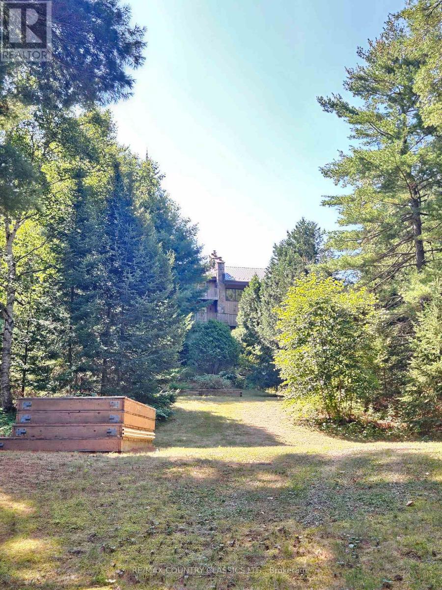 13 Lorbetski Road, Madawaska Valley, Ontario  K0J 1B0 - Photo 40 - X12055482