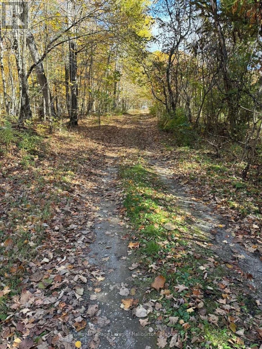 8 Cannonball Lane, Minden Hills, Ontario  K0M 1X0 - Photo 15 - X12402727