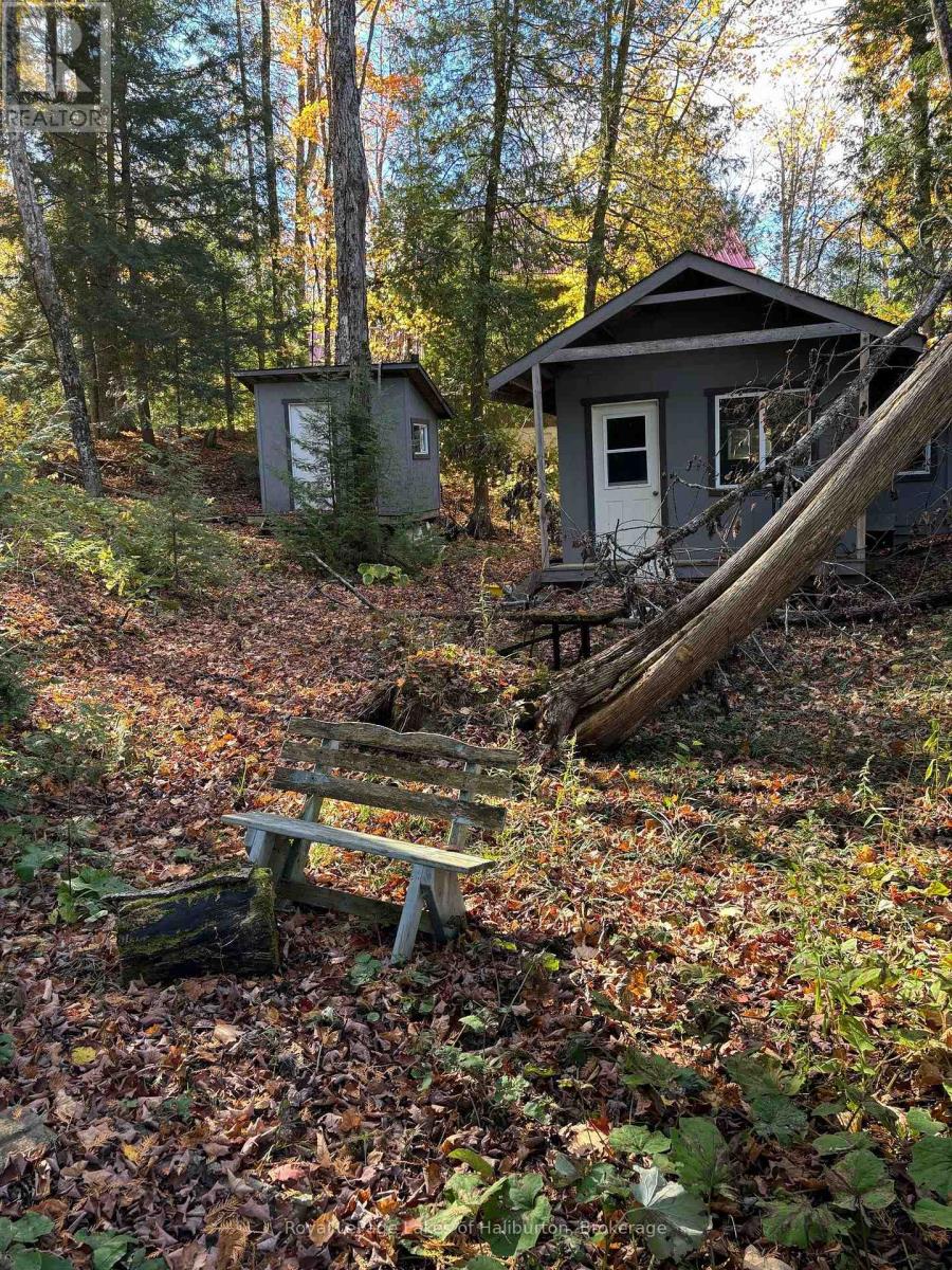 8 Cannonball Lane, Minden Hills, Ontario  K0M 1X0 - Photo 6 - X12402727