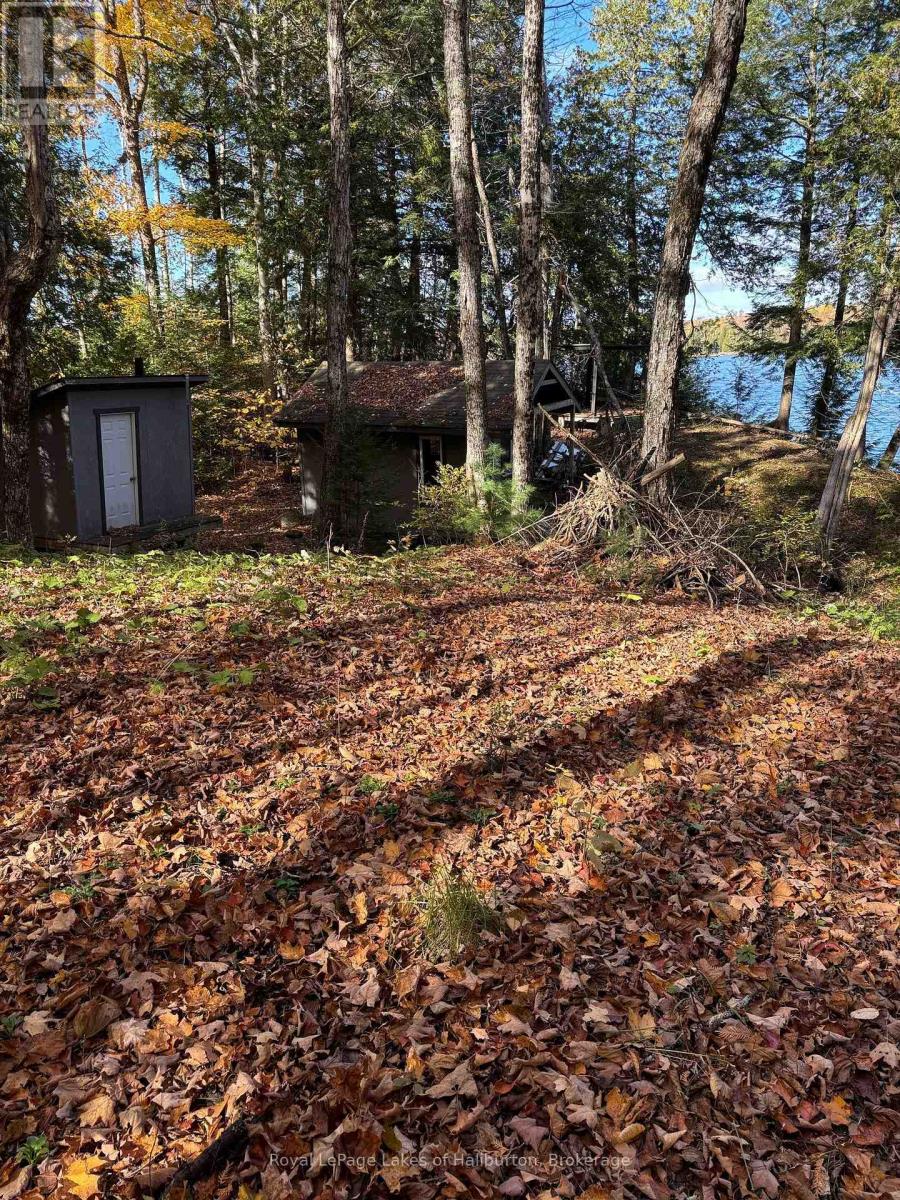 8 Cannonball Lane, Minden Hills, Ontario  K0M 1X0 - Photo 8 - X12402727