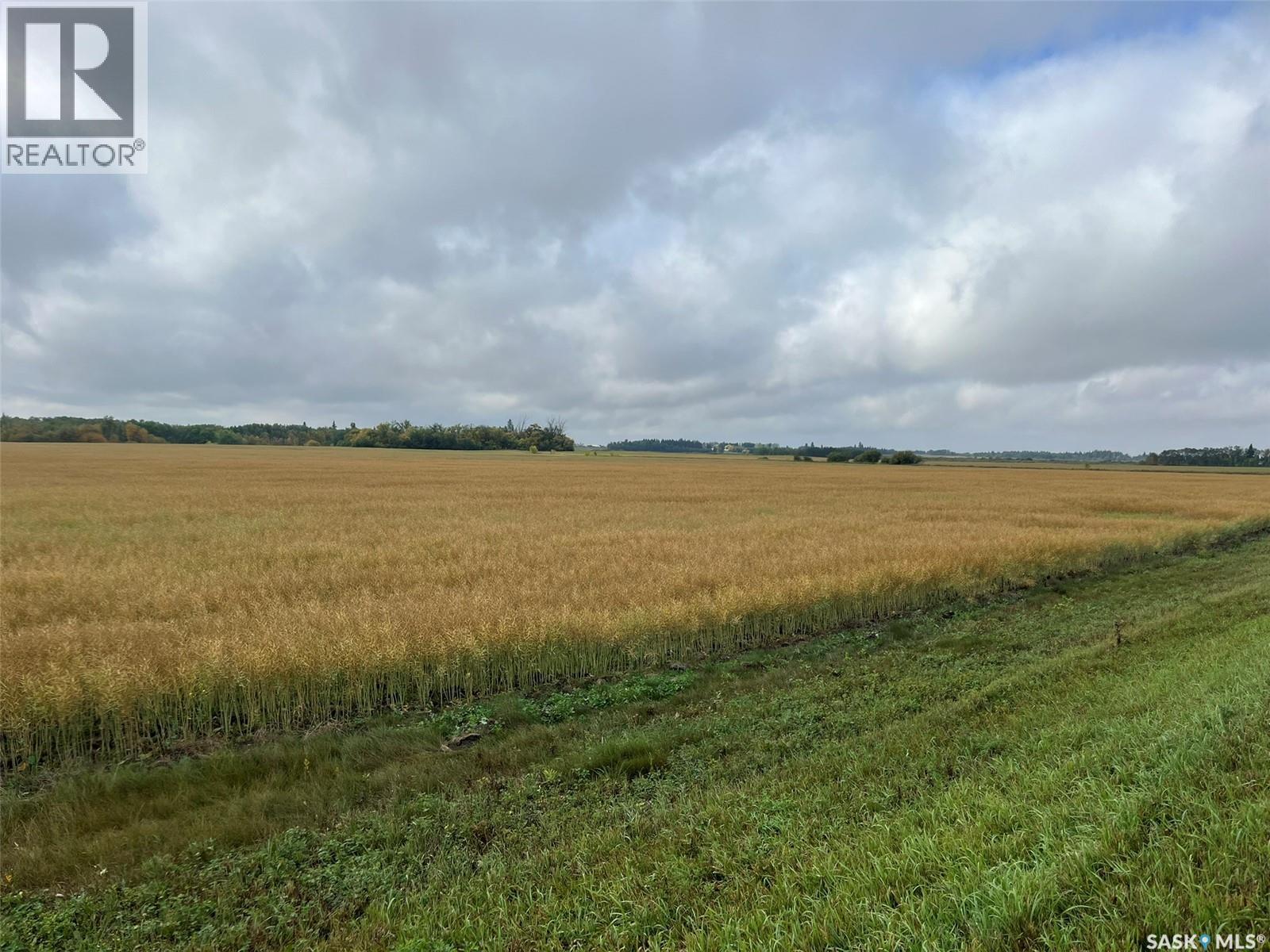 RM Buckland Farm Land, Buckland Rm No. 491, Saskatchewan