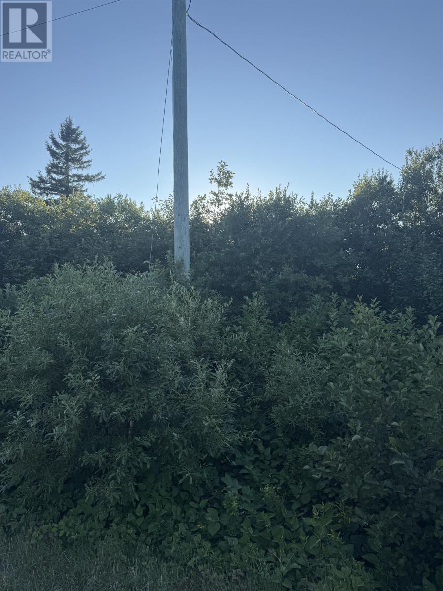Lot Rte 310, Howe Bay, Prince Edward Island  C0A 2B0 - Photo 15 - 202521009