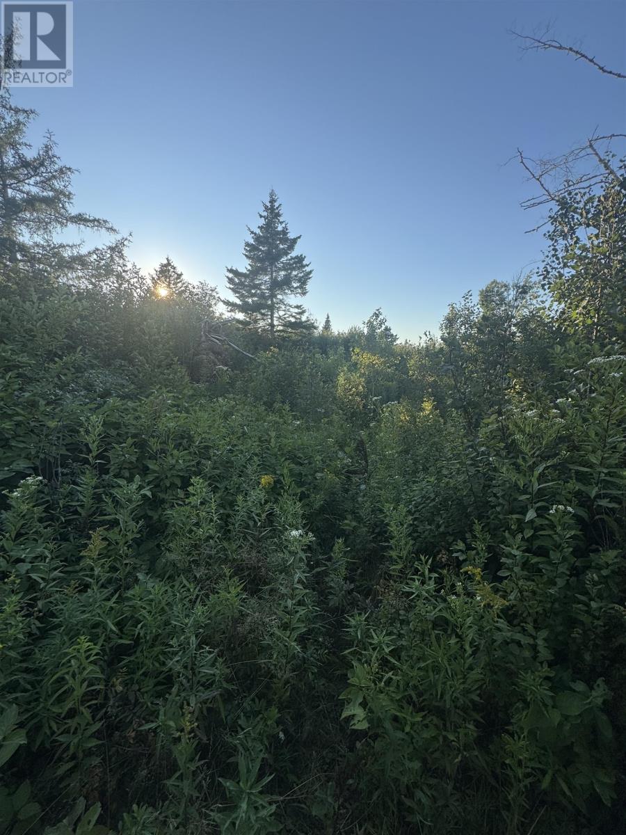 Lot Rte 310, Howe Bay, Prince Edward Island  C0A 2B0 - Photo 13 - 202521009