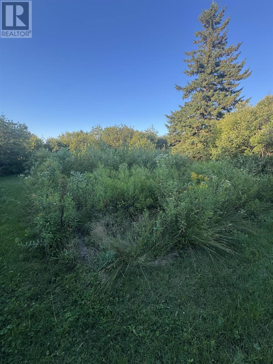Lot Rte 310, Howe Bay, Prince Edward Island  C0A 2B0 - Photo 11 - 202521009