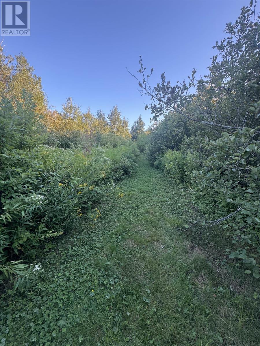 Lot Rte 310, Howe Bay, Prince Edward Island  C0A 2B0 - Photo 6 - 202521009