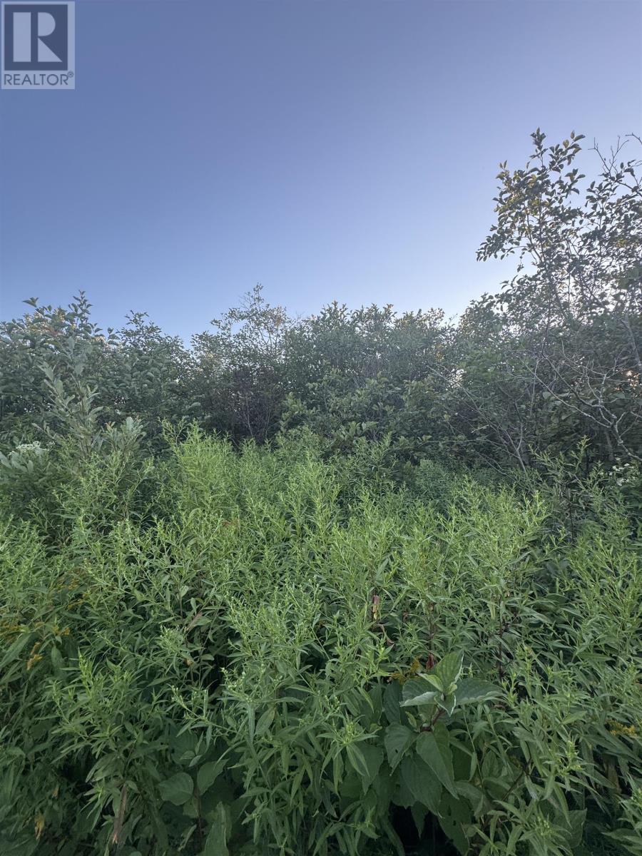 Lot Rte 310, Howe Bay, Prince Edward Island  C0A 2B0 - Photo 10 - 202521009