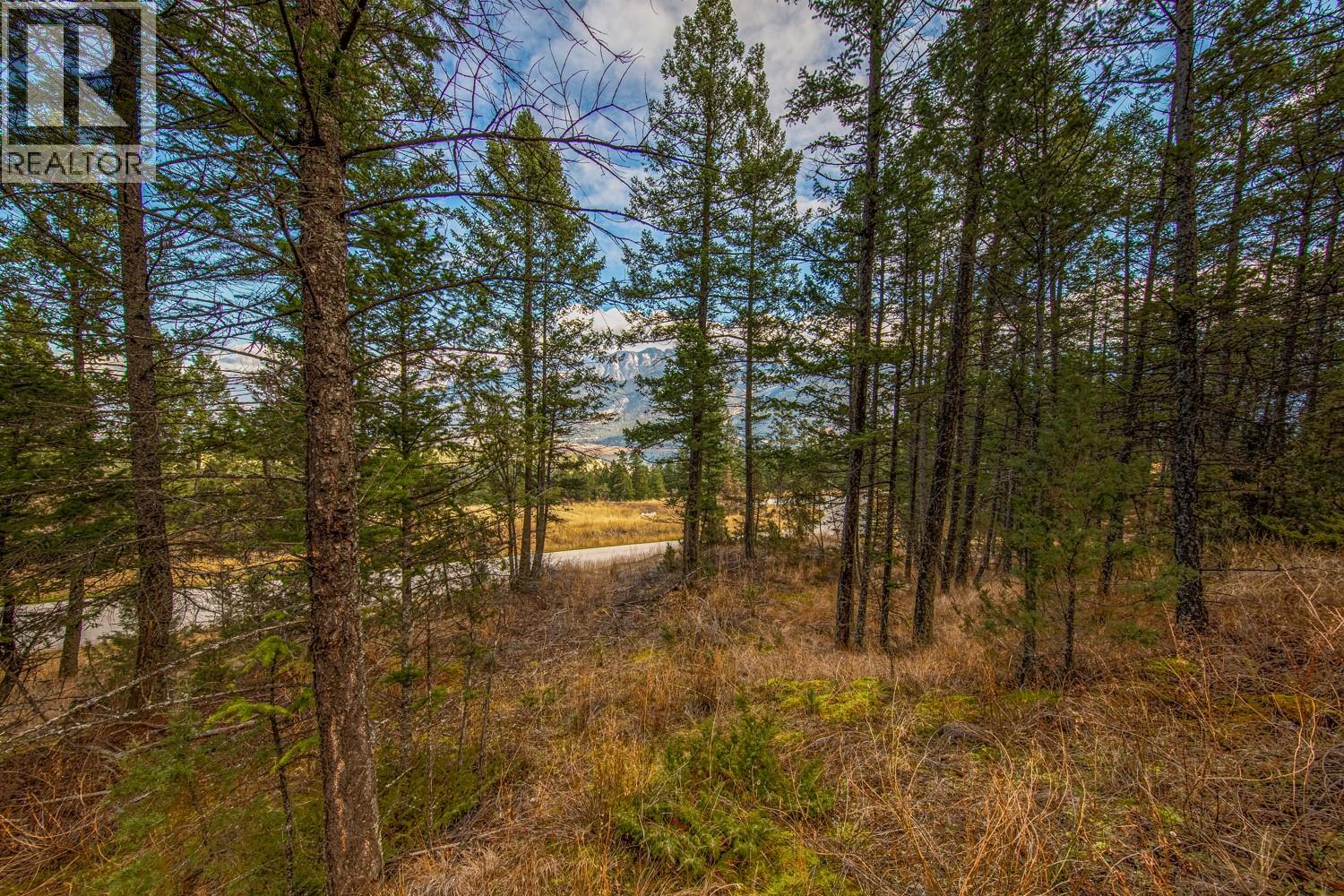 Lot 24 Valley Vista Way, Fairmont Hot Springs, British Columbia  V0B 1L0 - Photo 11 - 10362675