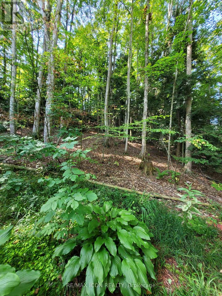 276 - 76735 Wildwood Line, Bluewater, Ontario  N0M 1G0 - Photo 16 - X12336083