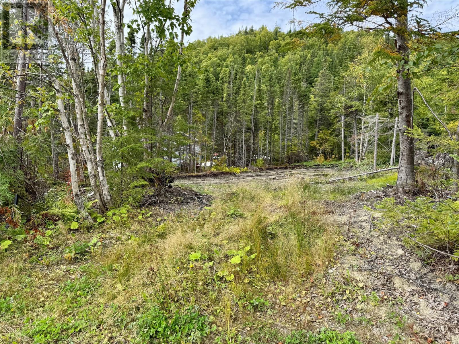 25 Pinchgut Lake Road, Pinchgut Lake, Newfoundland & Labrador  A2H 0H4 - Photo 43 - 1289019
