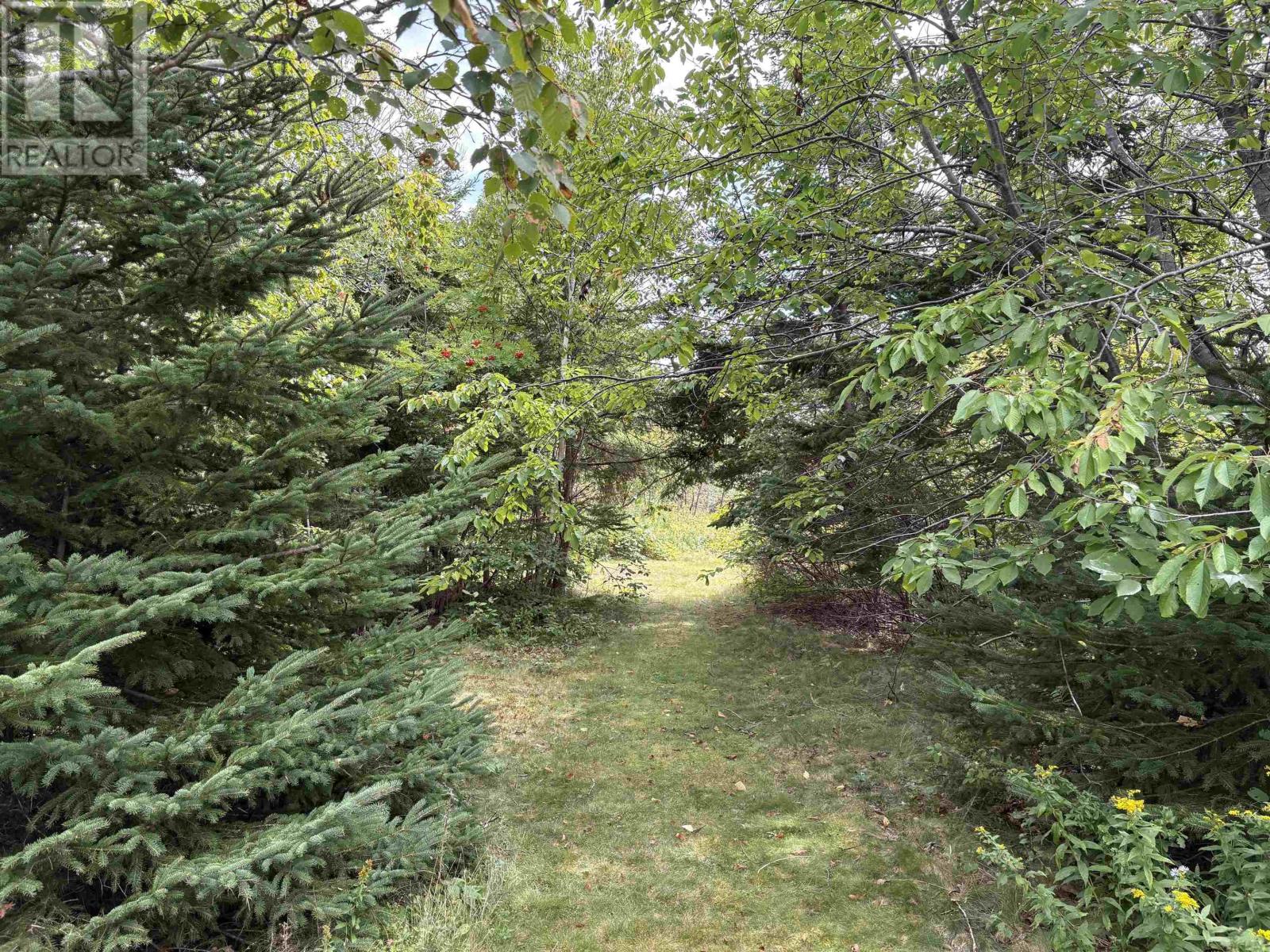 3535 Highway 255, Black Brook, Nova Scotia  B1B 1T7 - Photo 41 - 202523280