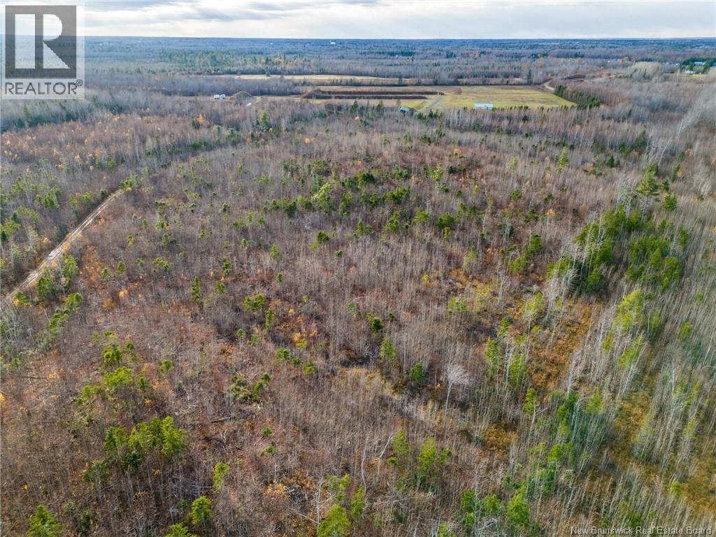Lot Renauds Mills Road, Saint-Antoine, New Brunswick  E4V 2X7 - Photo 3 - NB126200