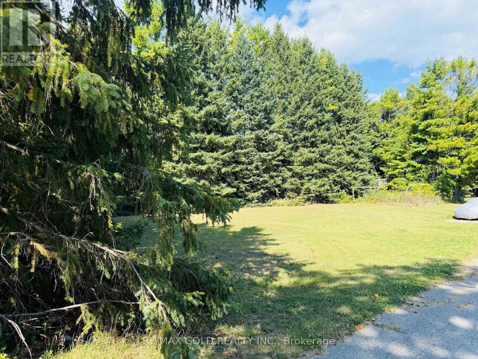 1209 20th Side Road, New Tecumseth, Ontario  L0G 1T0 - Photo 3 - N12397736