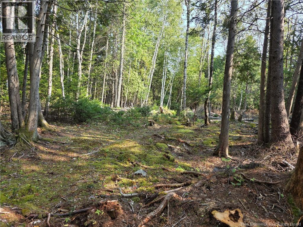 Lot 1 Rankine Road, Bayside, New Brunswick  E5B 2S7 - Photo 1 - NB126541