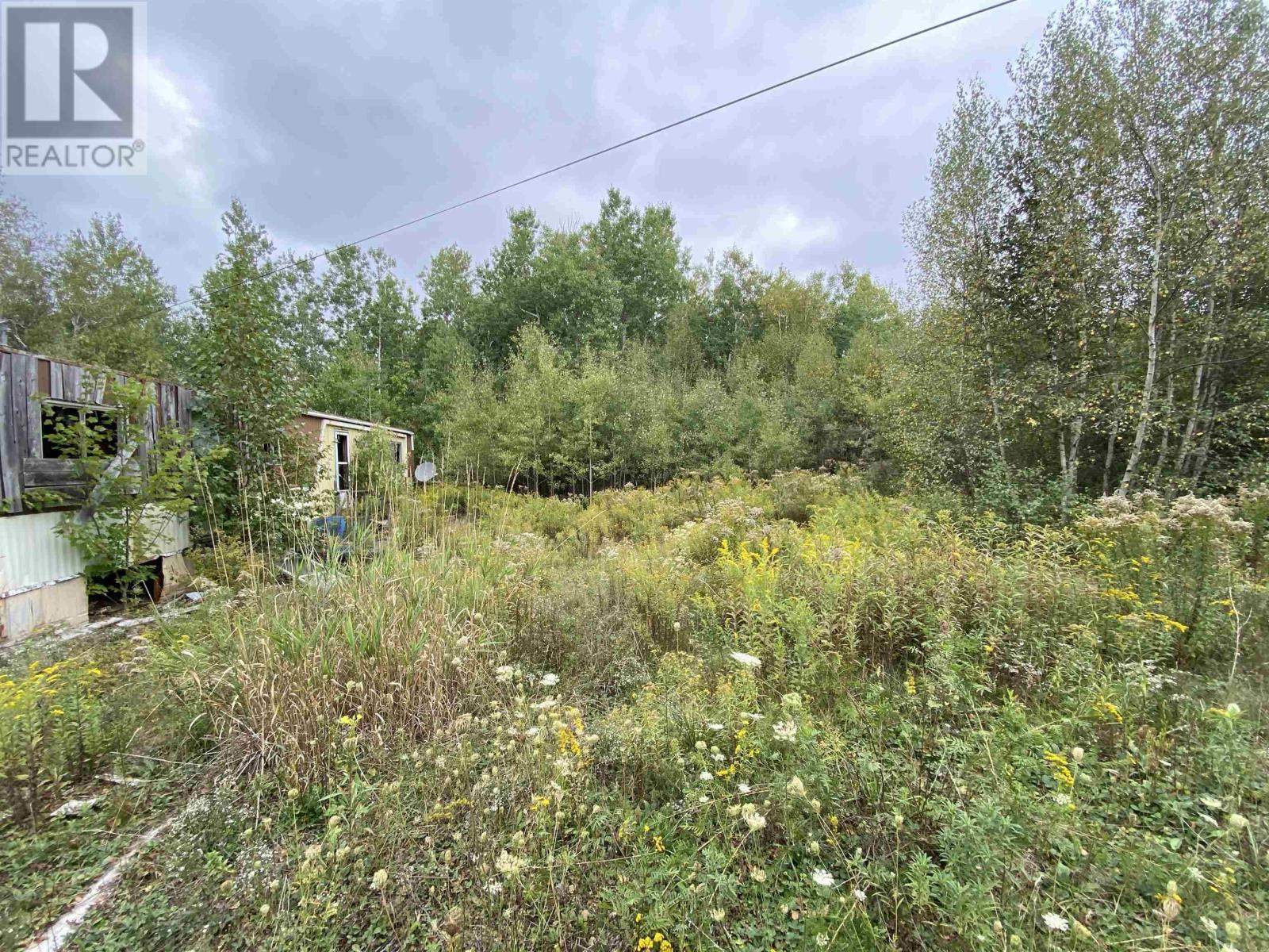 2028 Lake Road, Tatamagouche, Nova Scotia  B6L 1G5 - Photo 9 - 202523293