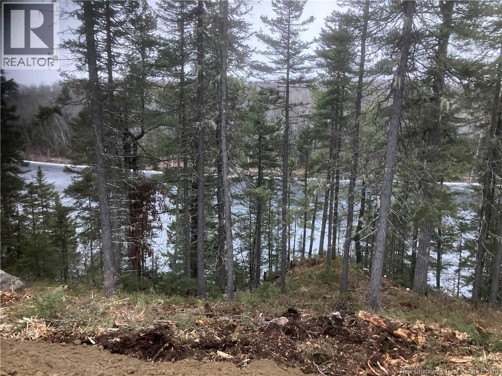 Lot 2016-9 Portage Road, Nepisiguit Falls, New Brunswick  E2A 4Y7 - Photo 3 - NB126702