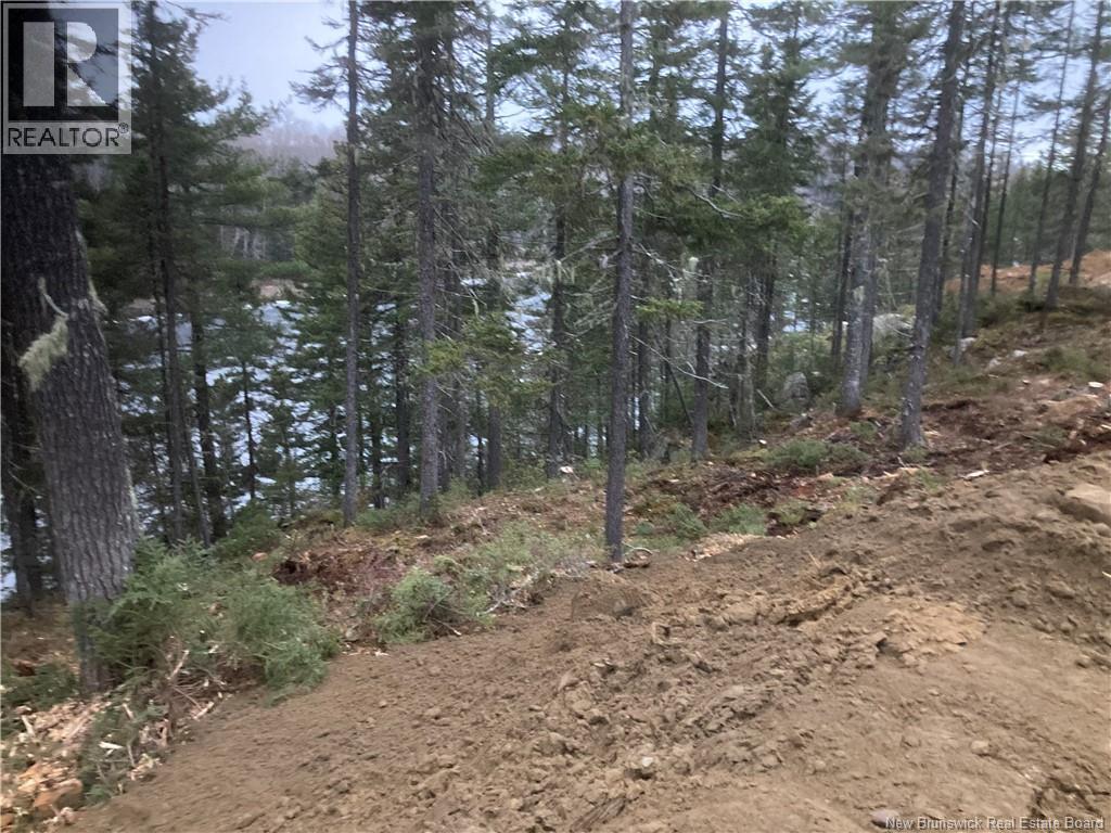 Lot 2016-9 Portage Road, Nepisiguit Falls, New Brunswick  E2A 4Y7 - Photo 2 - NB126702