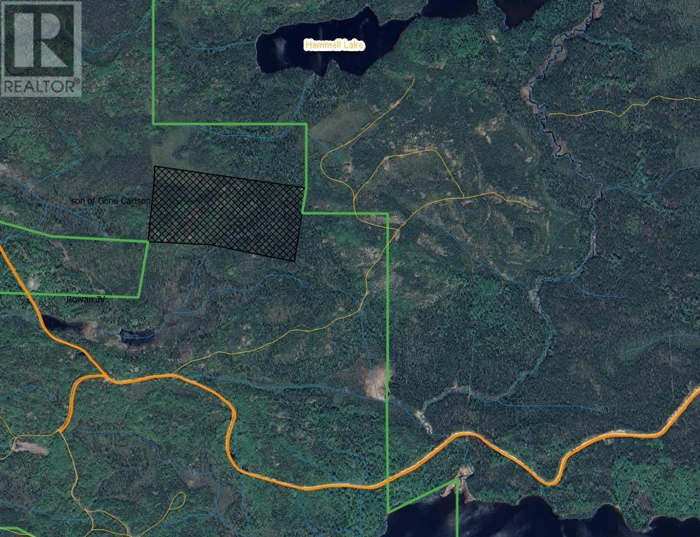 4704 Mount Jamie Road, Red Lake, Ontario  P0V 2M0 - Photo 2 - TB252921