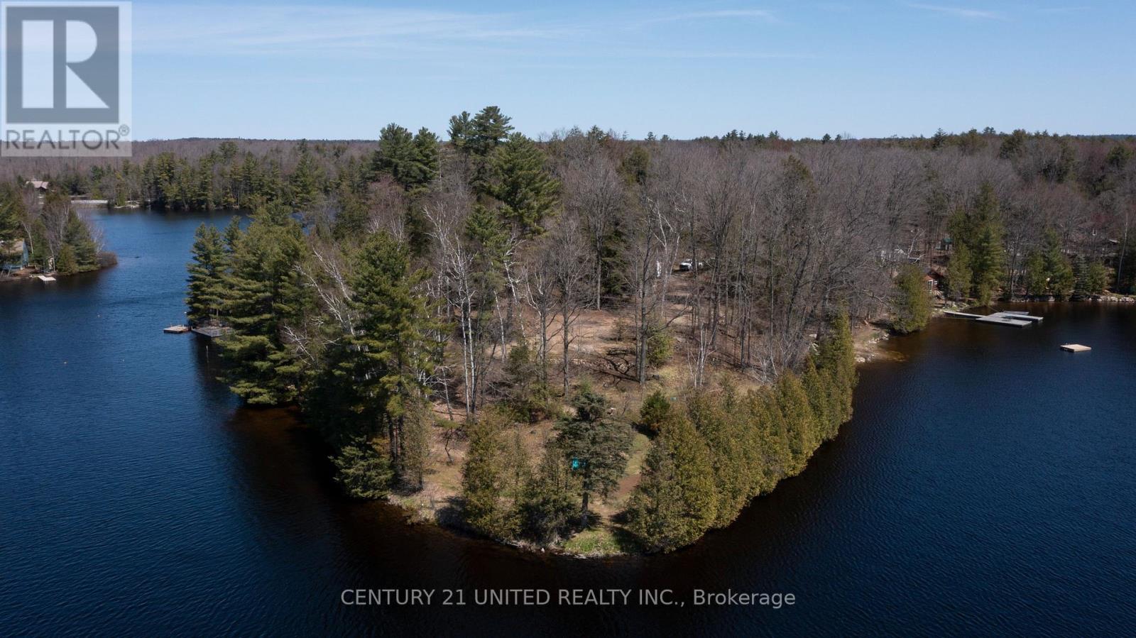 45 Fire Route 223, Trent Lakes, Ontario  K0L 1J0 - Photo 6 - X12368165