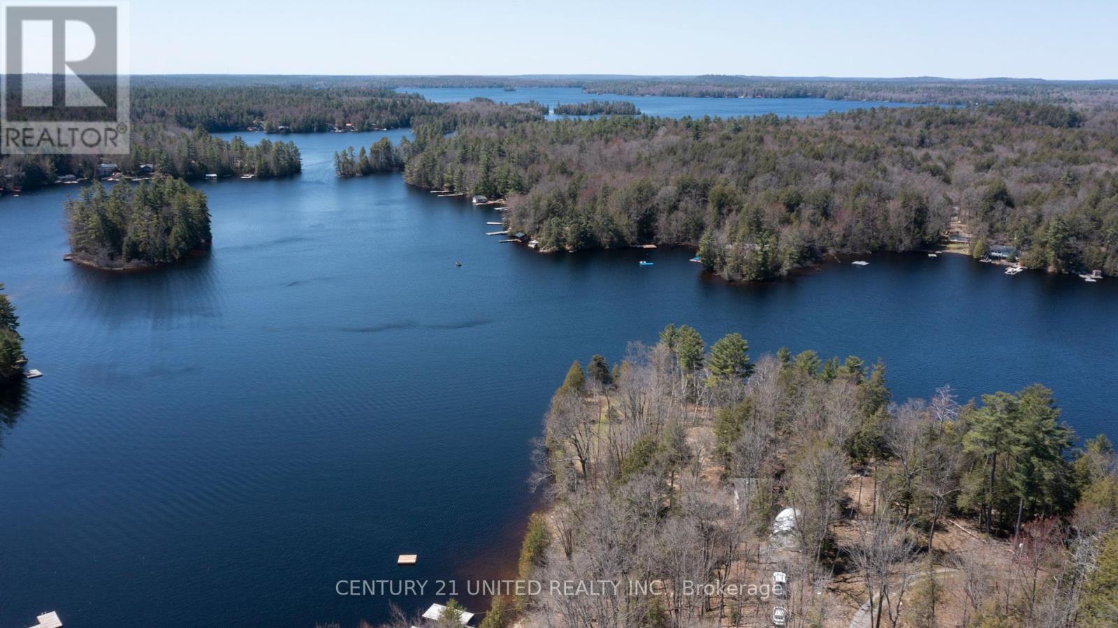 45 Fire Route 223, Trent Lakes, Ontario  K0L 1J0 - Photo 8 - X12368165