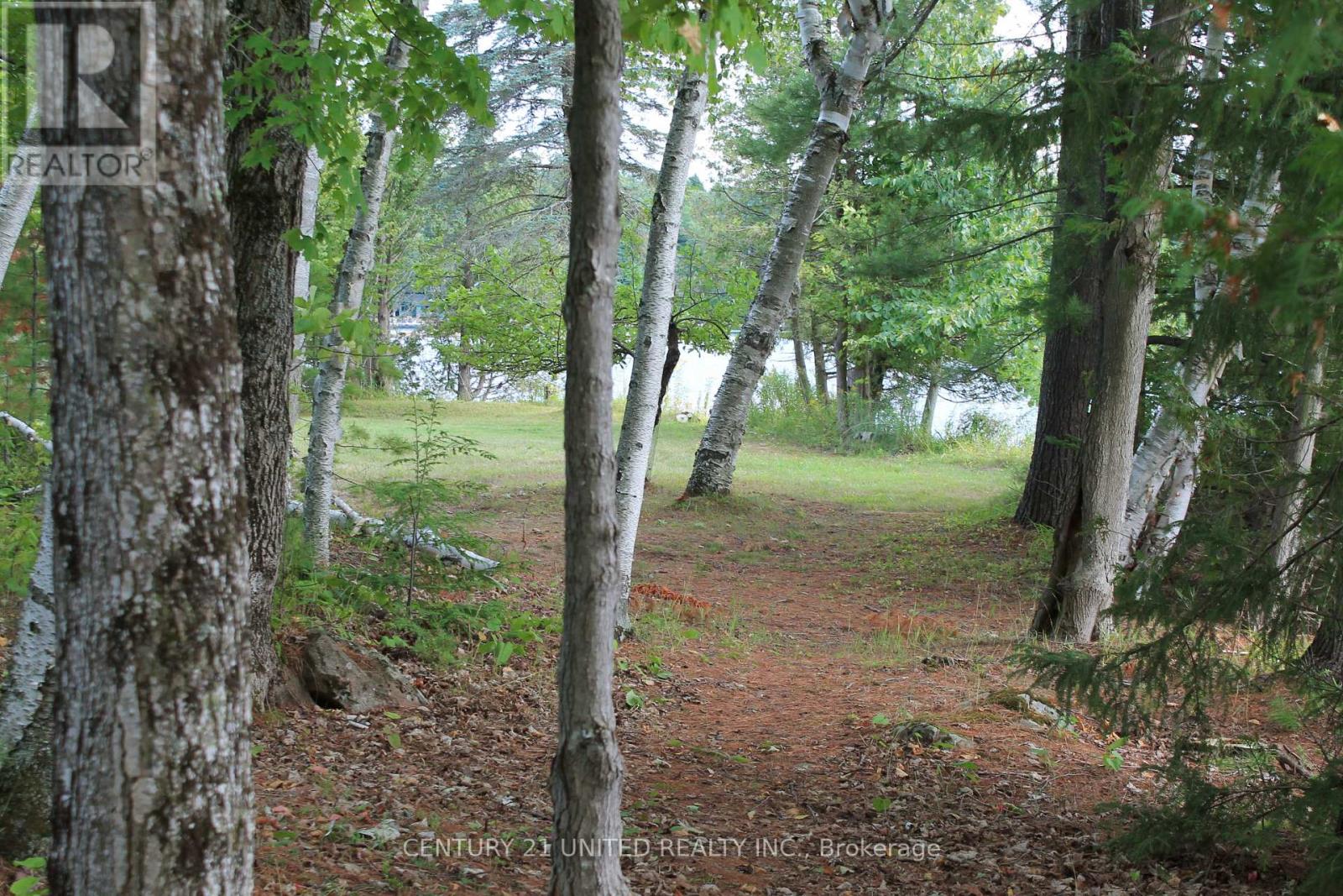 45 Fire Route 223, Trent Lakes, Ontario  K0L 1J0 - Photo 21 - X12368165