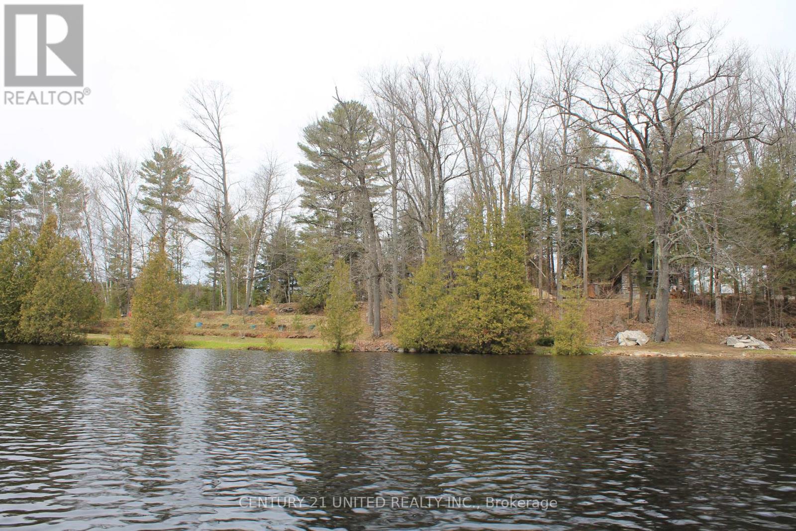 45 Fire Route 223, Trent Lakes, Ontario  K0L 1J0 - Photo 40 - X12368165