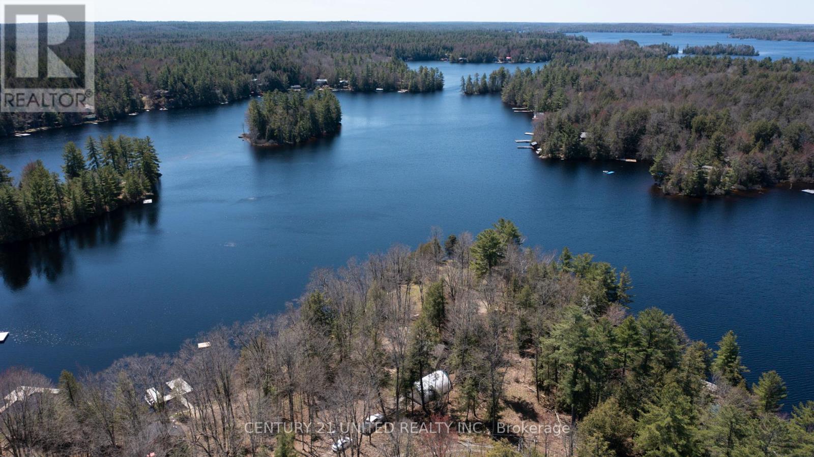 45 Fire Route 223, Trent Lakes, Ontario  K0L 1J0 - Photo 3 - X12368165