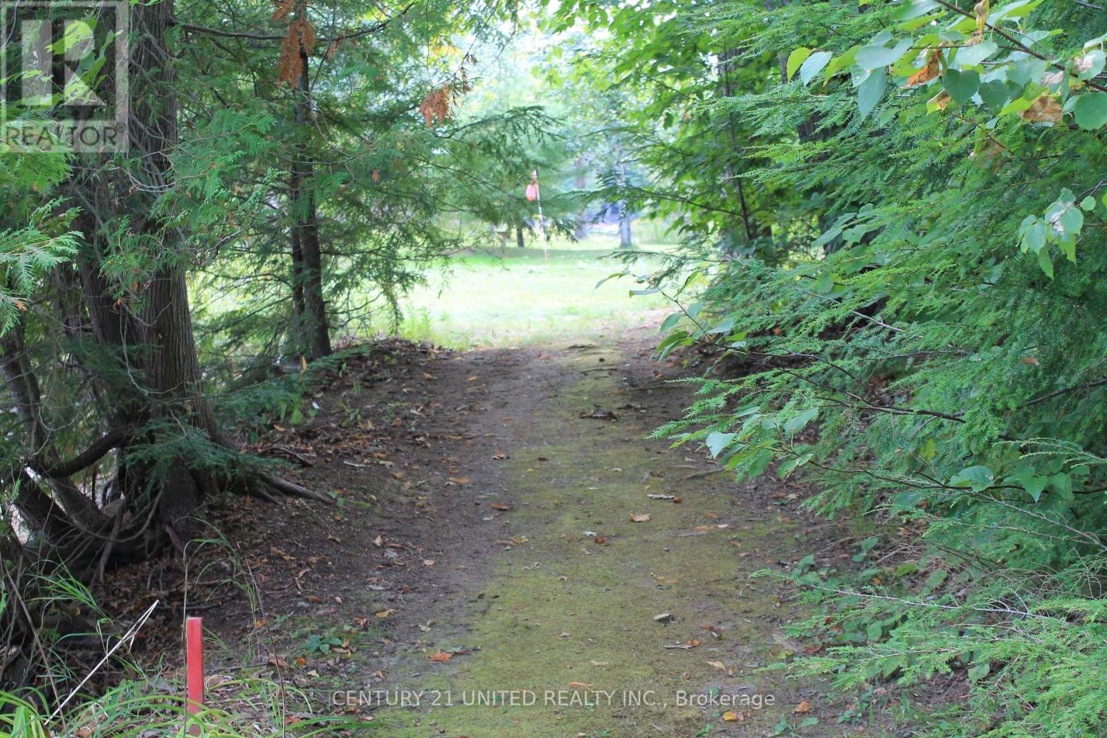 45 Fire Route 223, Trent Lakes, Ontario  K0L 1J0 - Photo 29 - X12368165