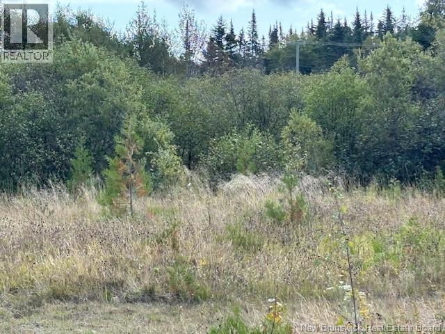 0 Latimore Lake Road, Saint John, New Brunswick  E2N 1X3 - Photo 12 - NB126714