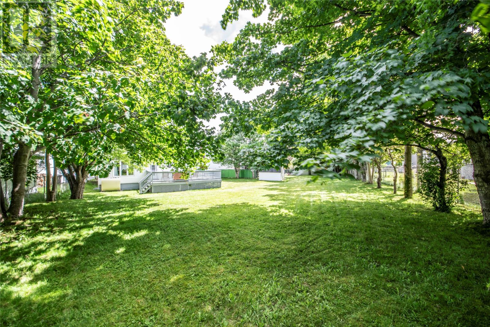 6 Donegal Place, St. John's, Newfoundland & Labrador  A1B 3L6 - Photo 6 - 1290427