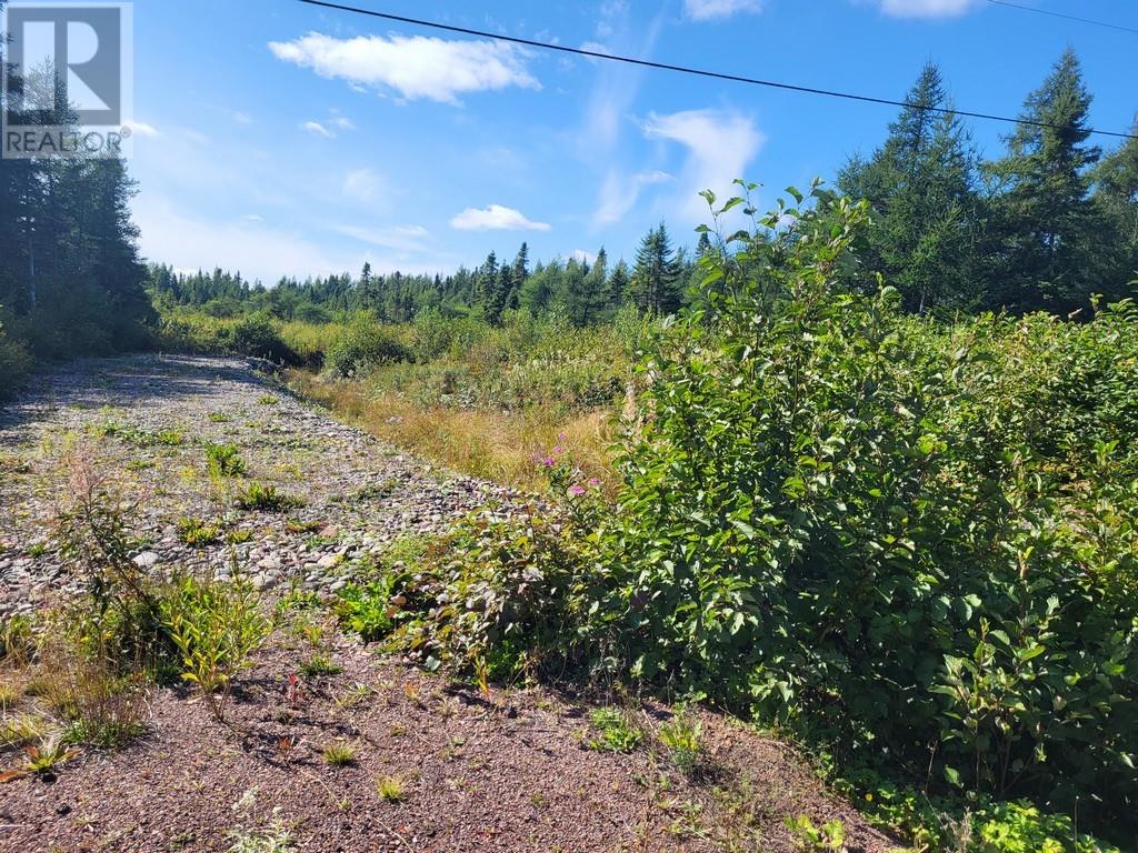 45 Main Street, Northern Arm, Newfoundland & Labrador  A0H 1E0 - Photo 1 - 1290421