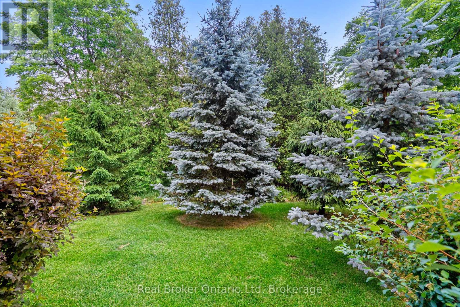 221 Millview Court, Guelph/eramosa, Ontario  N0B 2K0 - Photo 42 - X12403293