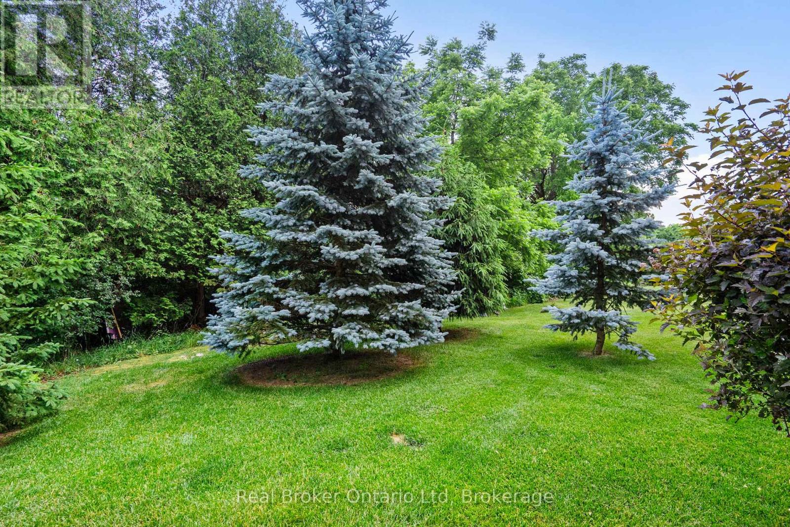 221 Millview Court, Guelph/eramosa, Ontario  N0B 2K0 - Photo 44 - X12403293