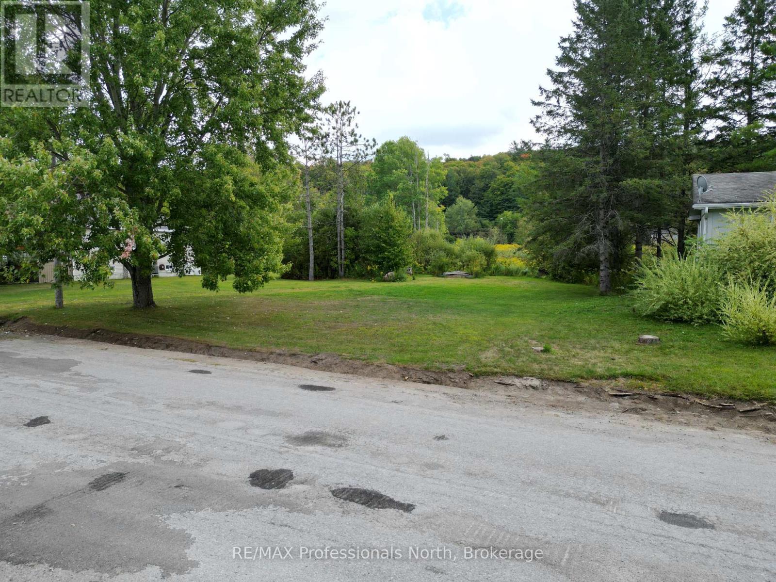 0 Parts Lot 12, Plan 1, Anson Street, Minden Hills (Anson), Ontario  K0M 2K0 - Photo 11 - X12403324