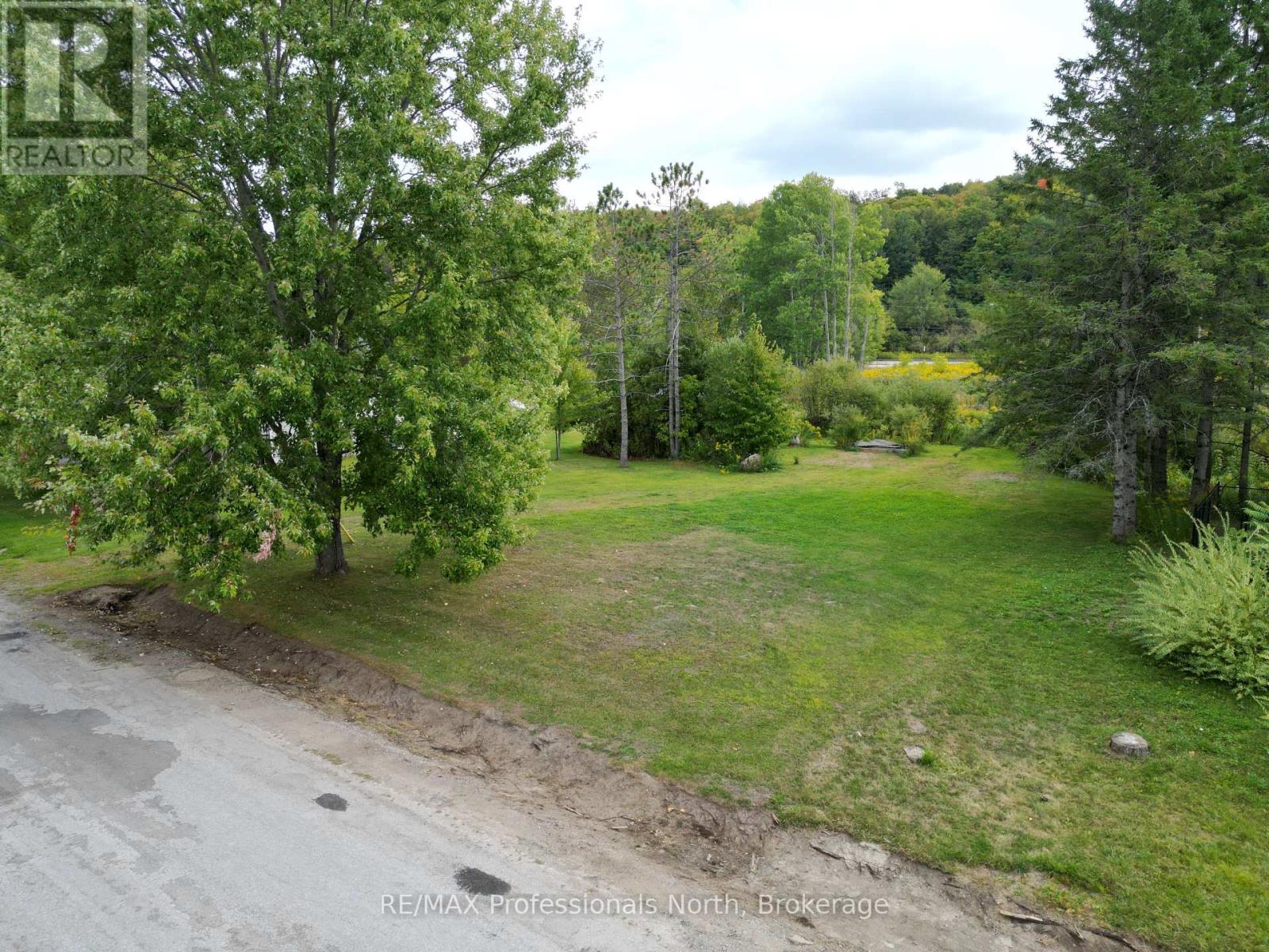 0 Parts Lot 12, Plan 1, Anson Street, Minden Hills (Anson), Ontario  K0M 2K0 - Photo 2 - X12403324