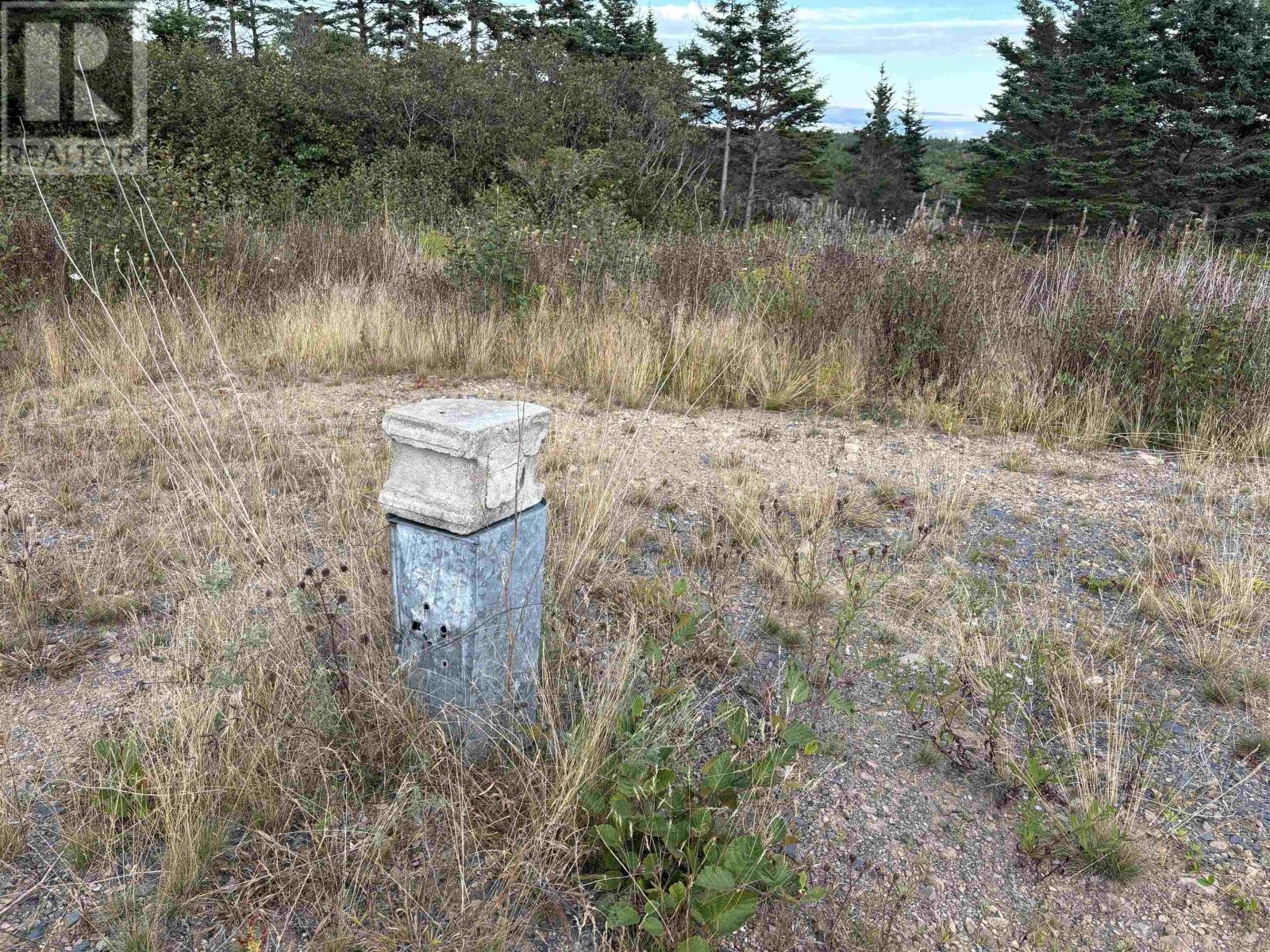 966 Highway 217, Freeport, Nova Scotia  B0V 1G0 - Photo 4 - 202523313