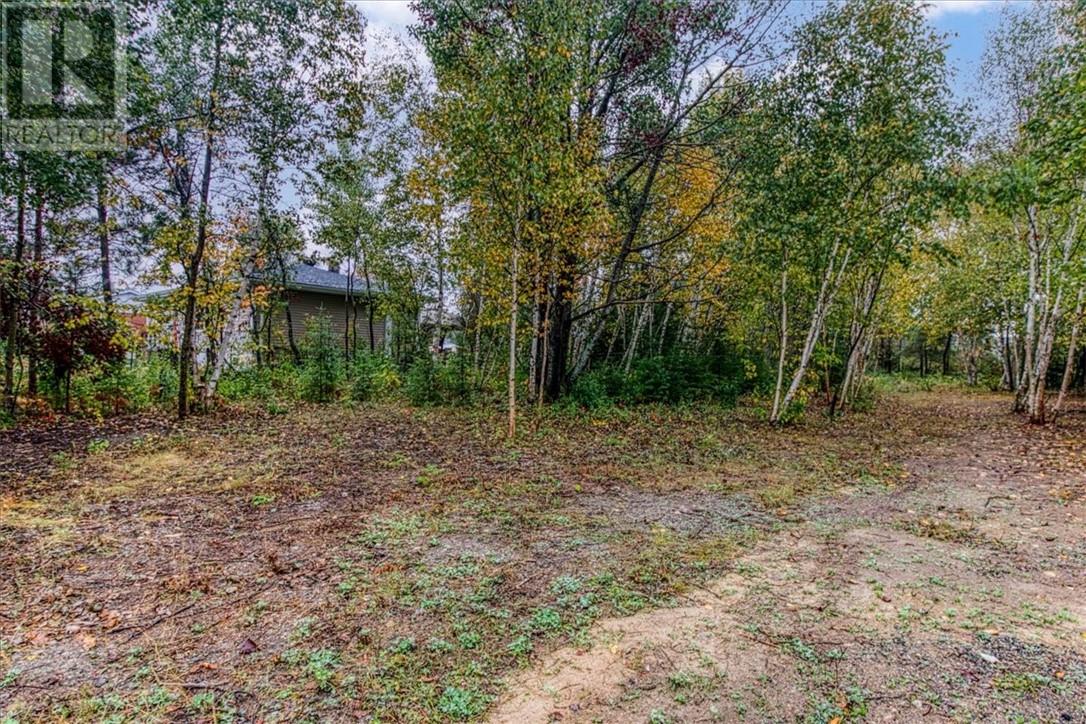 17 Lionel Avenue, Dowling, Ontario  P0M 1R0 - Photo 4 - 2124720