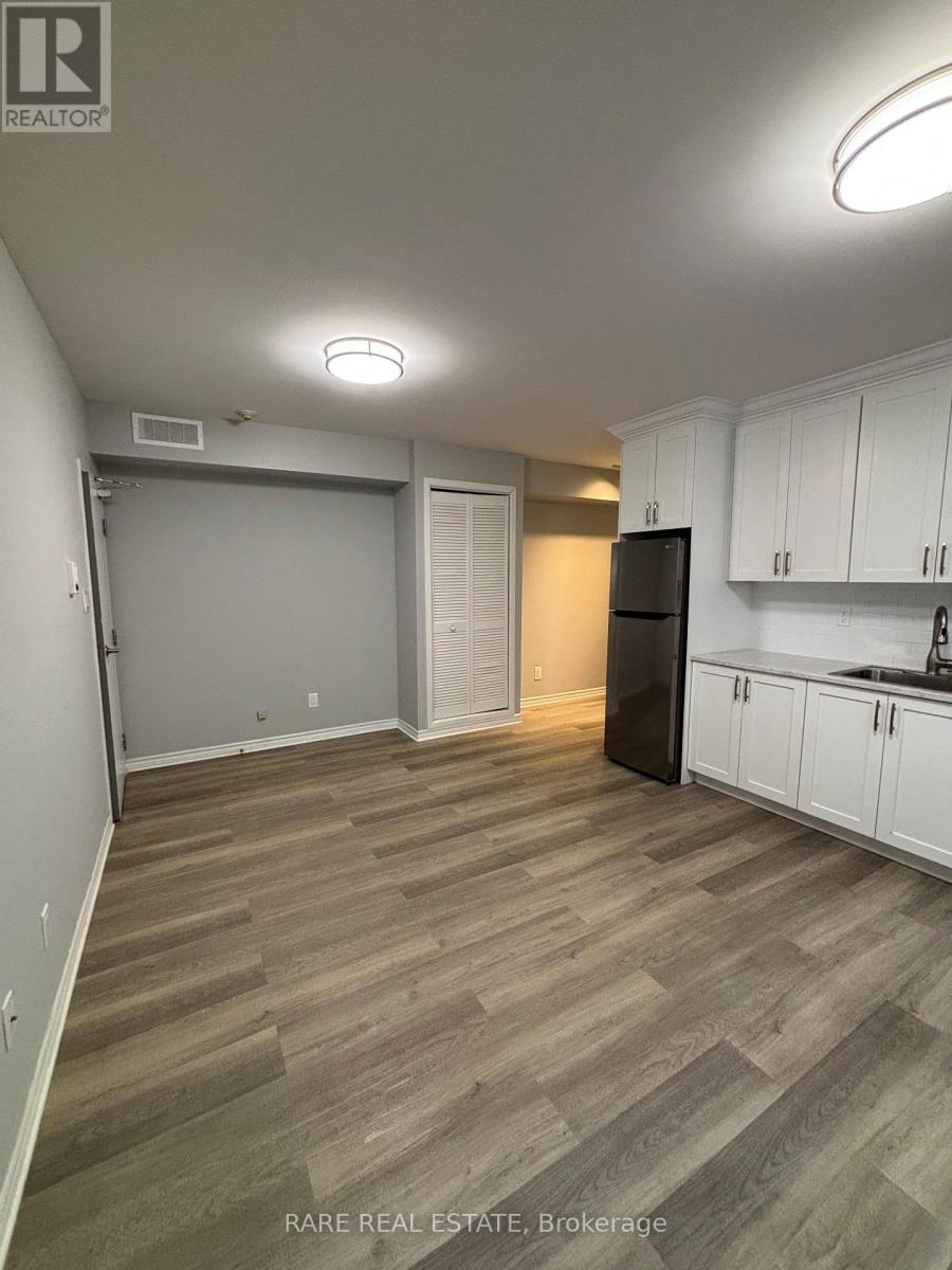 202 - 253 Augusta Avenue, Toronto, Ontario  M5T 2L8 - Photo 6 - C12403340