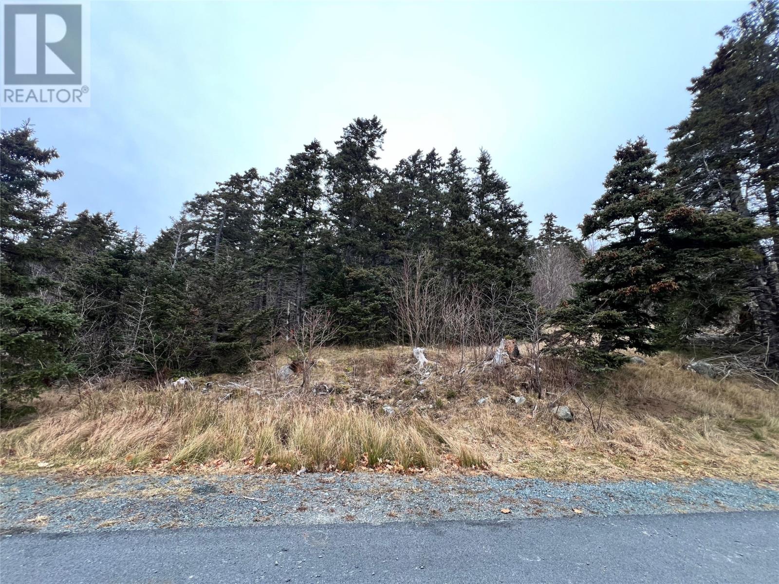31 Harbour Drive, Clarkes Beach, Newfoundland & Labrador  A0A 1W0 - Photo 4 - 1290372