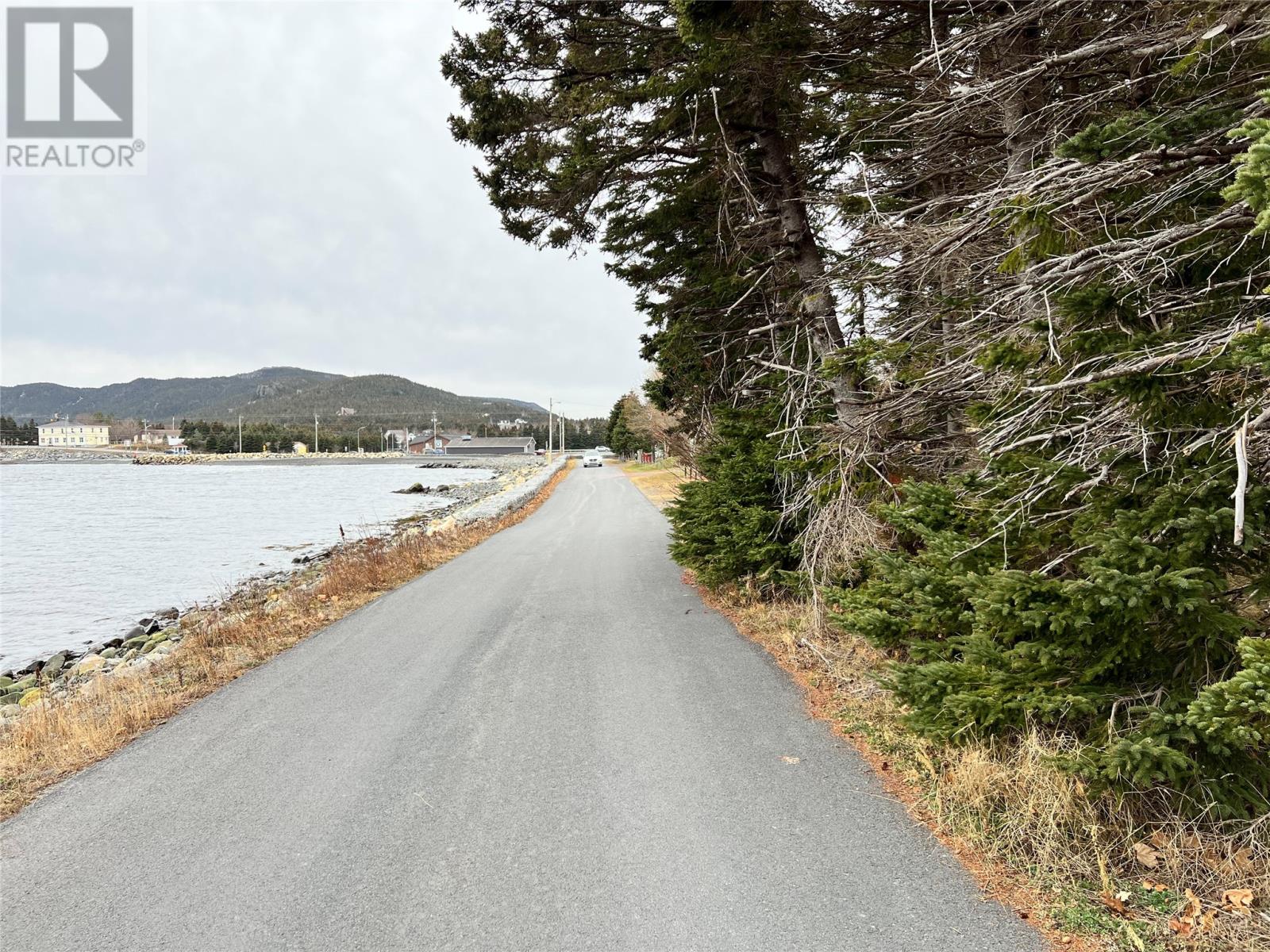 31 Harbour Drive, Clarkes Beach, Newfoundland & Labrador  A0A 1W0 - Photo 5 - 1290372