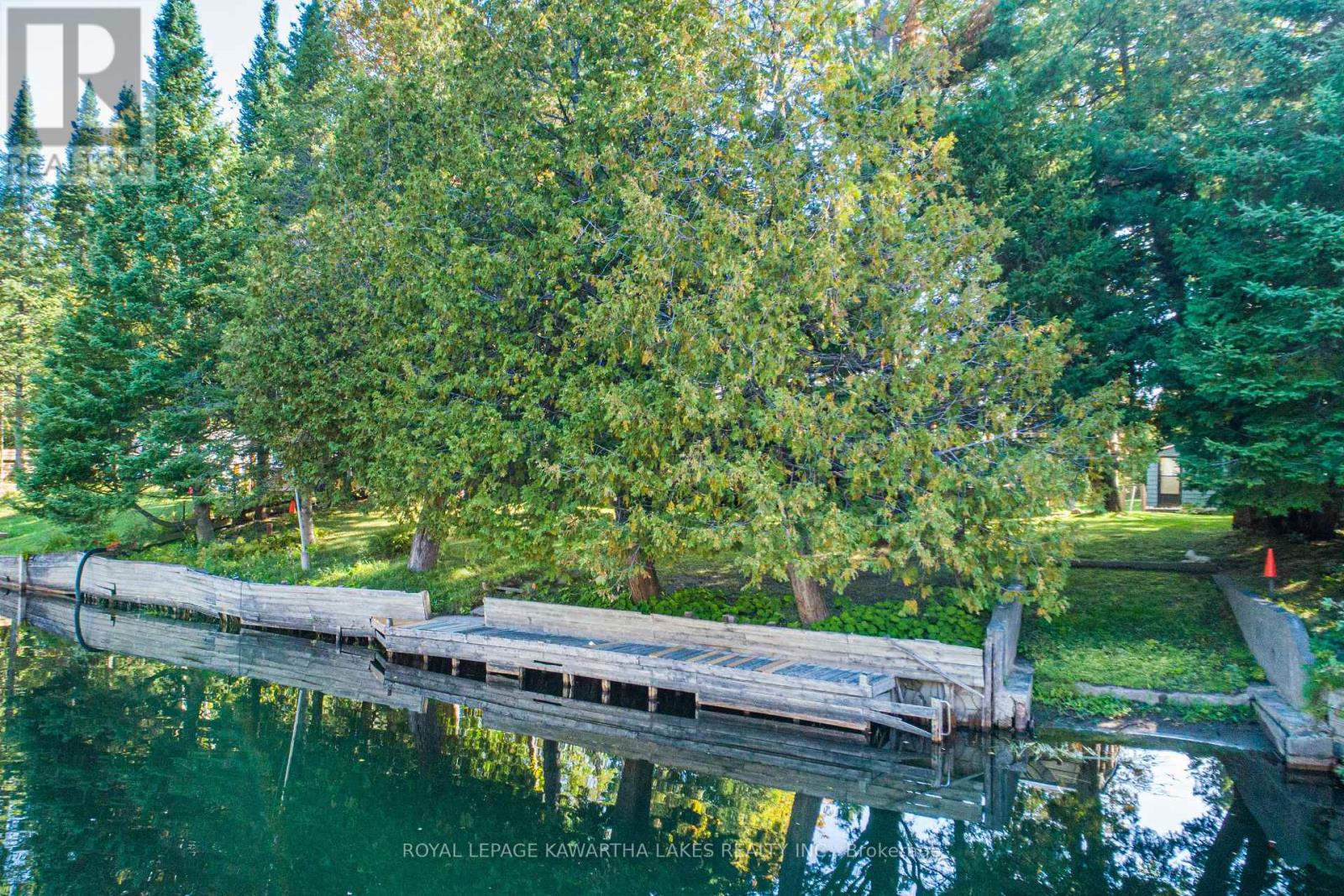 72 River Road, Kawartha Lakes, Ontario  K0M 1N0 - Photo 23 - X12403524