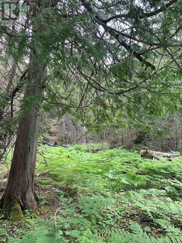 L21c6 Robinson Highway 540 Highway, Silver Water, Ontario  P0P 1Y0 - Photo 16 - 2123109