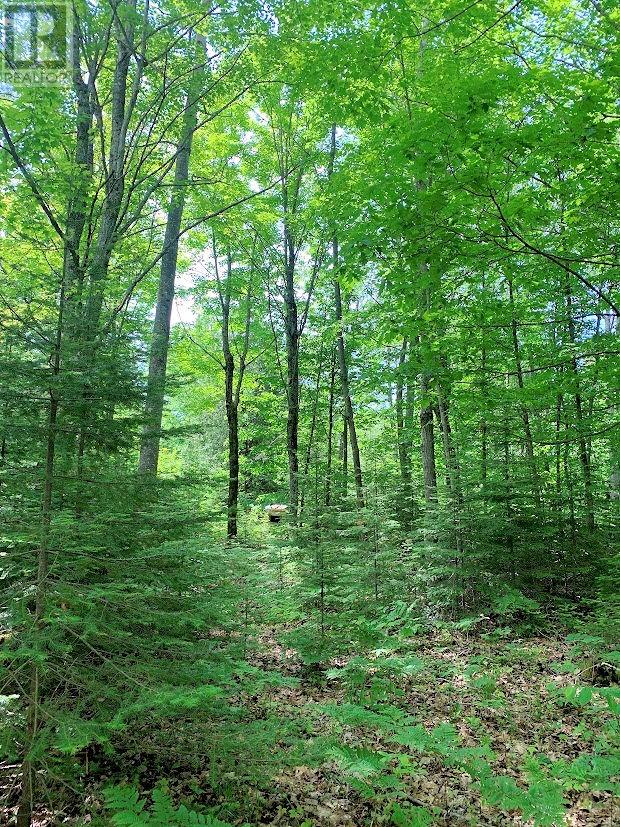 L21c6 Robinson Highway 540 Highway, Silver Water, Ontario  P0P 1Y0 - Photo 5 - 2123109