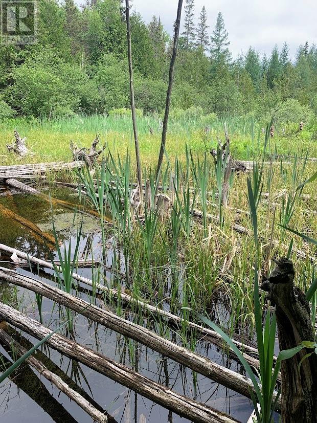 L21c6 Robinson Highway 540 Highway, Silver Water, Ontario  P0P 1Y0 - Photo 14 - 2123109