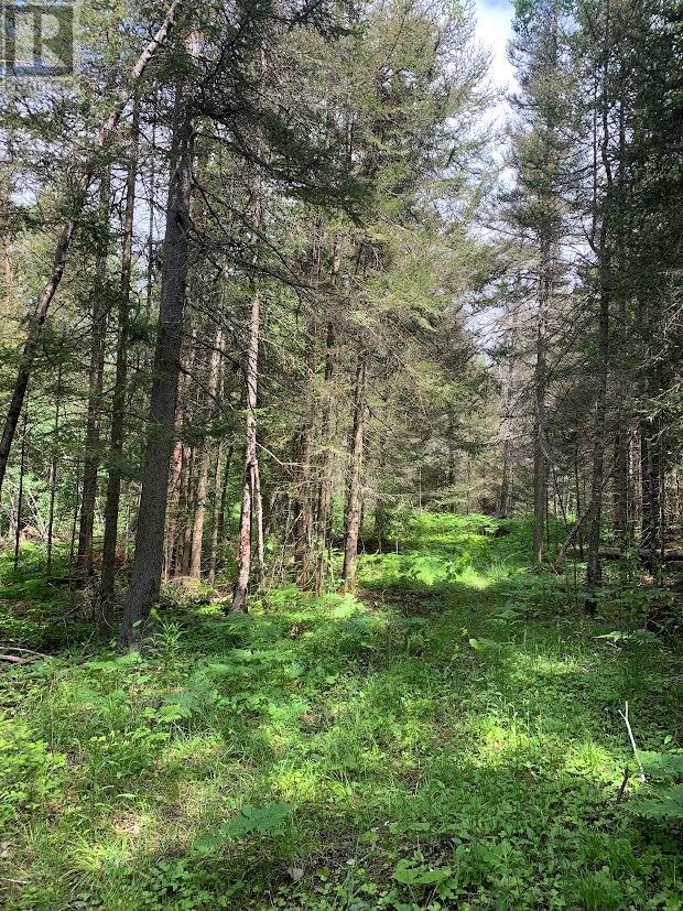 L21c6 Robinson Highway 540 Highway, Silver Water, Ontario  P0P 1Y0 - Photo 17 - 2123109